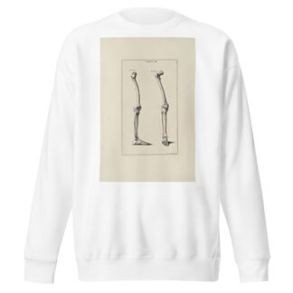 Anatomy improv’d and illustrated with regard to the uses thereof in designing Pl.07 by Michael van der Gucht Sweatshirt