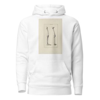 Anatomy improv’d and illustrated with regard to the uses thereof in designing Pl.07 by Michael van der Gucht Hoodie