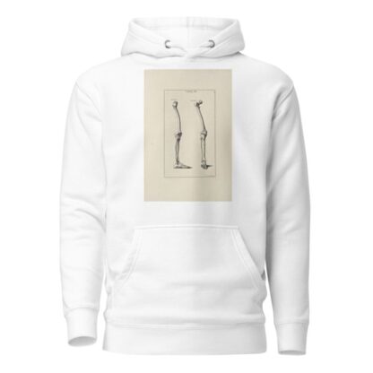 Anatomy improv’d and illustrated with regard to the uses thereof in designing Pl.07 by Michael van der Gucht Hoodie