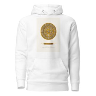 Serebrianaia lokhan’, ukrashennaia khrustalem idragotsennymi kameniiami by Fedor Grigoryevich Solntsev Hoodie