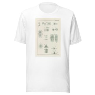 Plate VIII: Chlorophyceæ by George Chandler Whipple T-Shirt