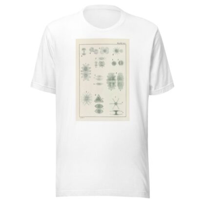Plate VIII: Chlorophyceæ by George Chandler Whipple T-Shirt