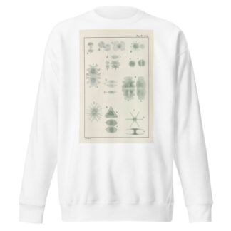 Plate VIII: Chlorophyceæ by George Chandler Whipple Sweatshirt