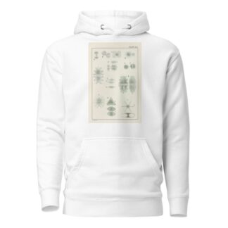 Plate VIII: Chlorophyceæ by George Chandler Whipple Hoodie