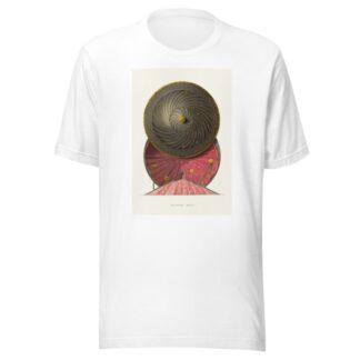 Bulatnyi shchit by Fedor Grigoryevich Solntsev T-Shirt