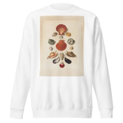 Plate IV, from ‘Choix de Coquillages et de Crustacés’ by Franz Michael Regenfuss Sweatshirt