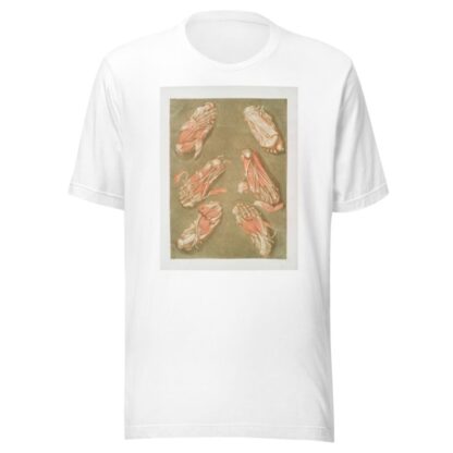 Cette planche représente les muscles situés à la plante du pied by Arnauld Gautier d'Agoty T-Shirt