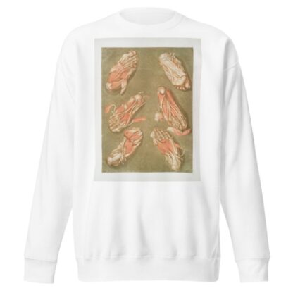 Cette planche représente les muscles situés à la plante du pied by Arnauld Gautier d'Agoty Sweatshirt