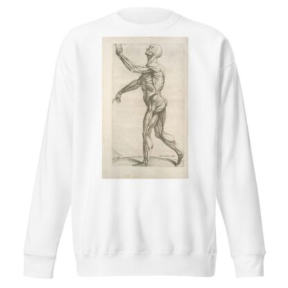 Secunda musculorum tabula. [Shows muscles in a walking position] by Thomas Geminus Sweatshirt