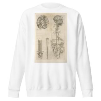Prima neruorum figura — Secunda neruorum figura. [Brain and cranial nerves] by Thomas Geminus Sweatshirt