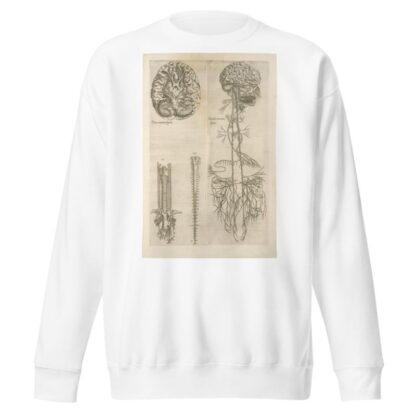 Prima neruorum figura — Secunda neruorum figura. [Brain and cranial nerves] by Thomas Geminus Sweatshirt