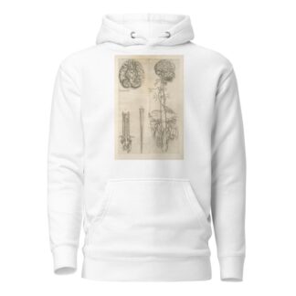 Prima neruorum figura — Secunda neruorum figura. [Brain and cranial nerves] by Thomas Geminus Hoodie