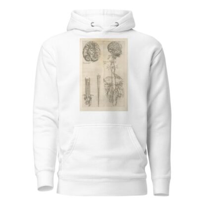 Prima neruorum figura — Secunda neruorum figura. [Brain and cranial nerves] by Thomas Geminus Hoodie