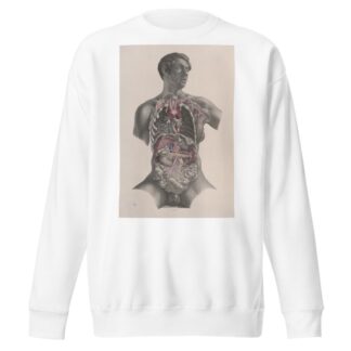 Surgical anatomy Pl.23 by Joseph Maclise Sweatshirt