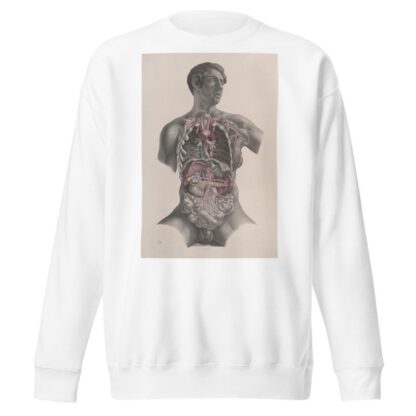 Surgical anatomy Pl.23 by Joseph Maclise Sweatshirt