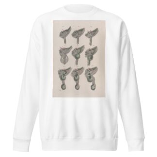 Surgical anatomy Pl.33 by Joseph Maclise Sweatshirt