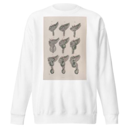 Surgical anatomy Pl.33 by Joseph Maclise Sweatshirt