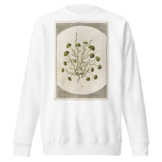 Amusement microscopique tant pour l’esprit, que pour les yeux Pl.003 by Martin Frobenius Ledermüller Sweatshirt