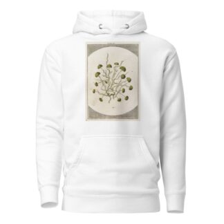 Amusement microscopique tant pour l’esprit, que pour les yeux Pl.003 by Martin Frobenius Ledermüller Hoodie
