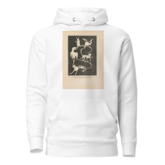 ‘Jump on to my beautiful curly tail’ by Jean de Bosschère Hoodie