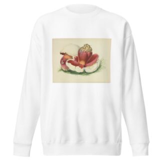 Illustrations of British mycology Pl.07 by Anna Maria Hussey Sweatshirt