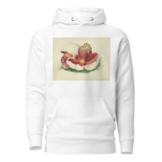 Illustrations of British mycology Pl.07 by Anna Maria Hussey Hoodie