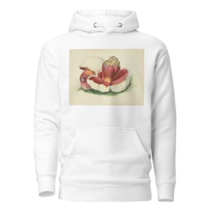 Illustrations of British mycology Pl.07 by Anna Maria Hussey Hoodie