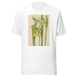 Trumpetleaf by Mary Vaux Walcott T-Shirt
