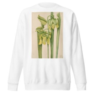 Trumpetleaf by Mary Vaux Walcott Sweatshirt