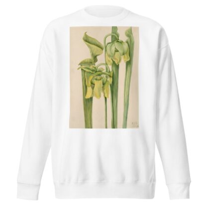 Trumpetleaf by Mary Vaux Walcott Sweatshirt