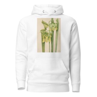 Trumpetleaf by Mary Vaux Walcott Hoodie