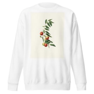 Giuggiola a frutto rotondo. [Zizphus vulgaris ; Chinese jujube] by Giorgio Gallesio Sweatshirt