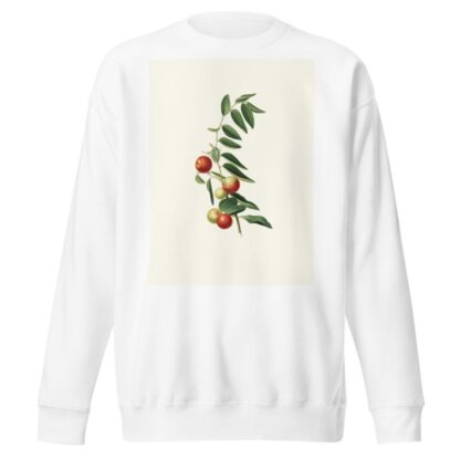 Giuggiola a frutto rotondo. [Zizphus vulgaris ; Chinese jujube] by Giorgio Gallesio Sweatshirt