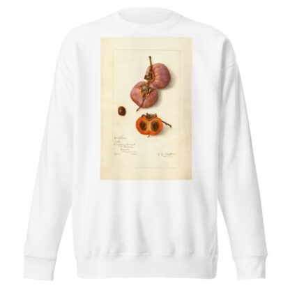 Diospyros: Josephine by Amanda Almira Newton Sweatshirt
