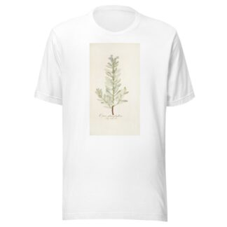 Echium glaucophyllum by Nikolaus Joseph Freiherr von Jacquin T-Shirt