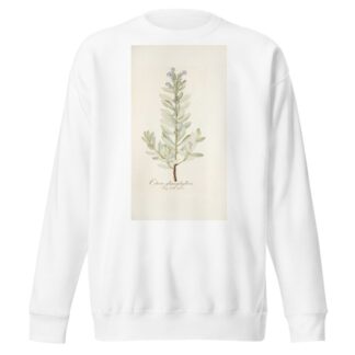 Echium glaucophyllum by Nikolaus Joseph Freiherr von Jacquin Sweatshirt