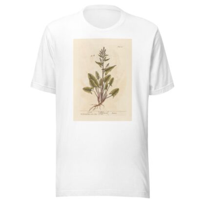 Sensitive Wood-sorrel by Sydenham Edwards T-Shirt