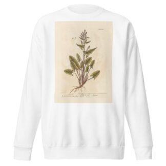 Sensitive Wood-sorrel by Sydenham Edwards Sweatshirt