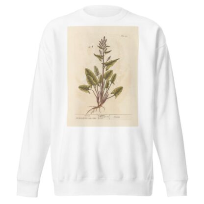 Sensitive Wood-sorrel by Sydenham Edwards Sweatshirt