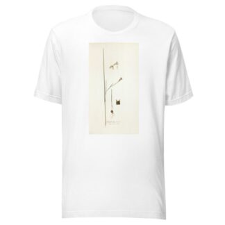 Gladiolus tristis, prioris varietas by Nikolaus Joseph Freiherr von Jacquin T-Shirt