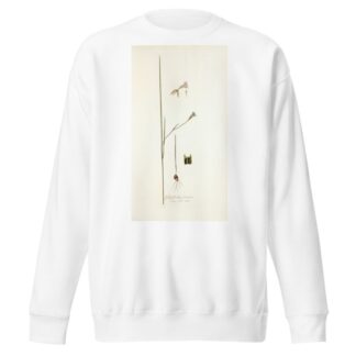Gladiolus tristis, prioris varietas by Nikolaus Joseph Freiherr von Jacquin Sweatshirt