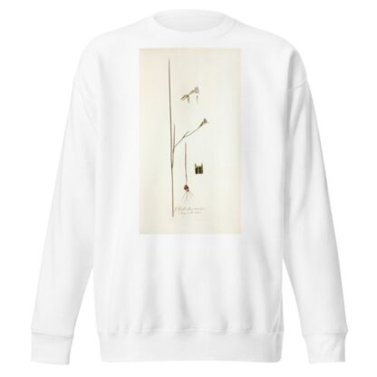 Gladiolus tristis, prioris varietas by Nikolaus Joseph Freiherr von Jacquin Sweatshirt