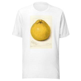 Citrus paradisi: Marsh Seedless by Amanda Almira Newton T-Shirt