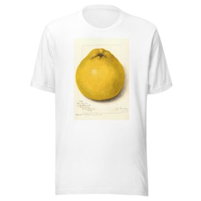 Citrus paradisi: Marsh Seedless by Amanda Almira Newton T-Shirt