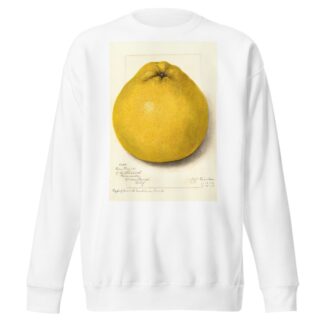 Citrus paradisi: Marsh Seedless by Amanda Almira Newton Sweatshirt