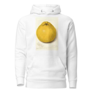 Citrus paradisi: Marsh Seedless by Amanda Almira Newton Hoodie