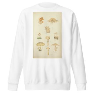 Histoire naturelle des champignons Pl.24 by Guillaume Sicard Sweatshirt