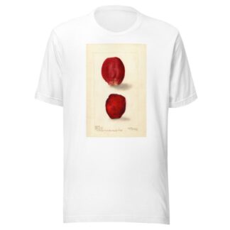 Opuntia: Rose Prickly Pear by Deborah Griscom Passmore T-Shirt