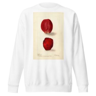 Opuntia: Rose Prickly Pear by Deborah Griscom Passmore Sweatshirt
