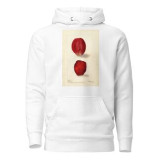 Opuntia: Rose Prickly Pear by Deborah Griscom Passmore Hoodie